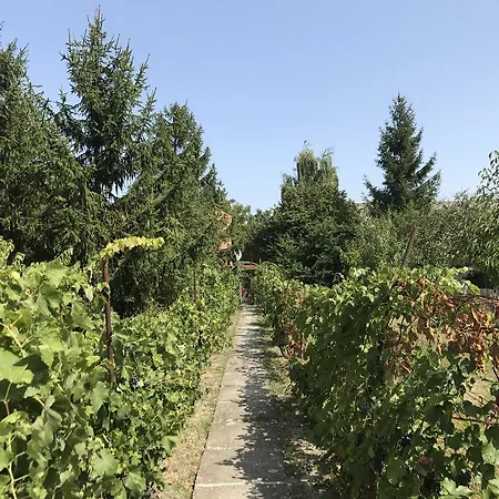 Diofa Апартаменты Abda