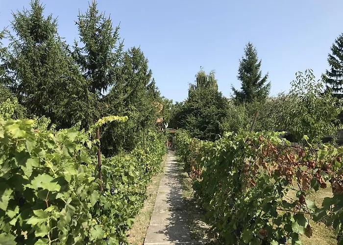 Diofa Appartement Abda